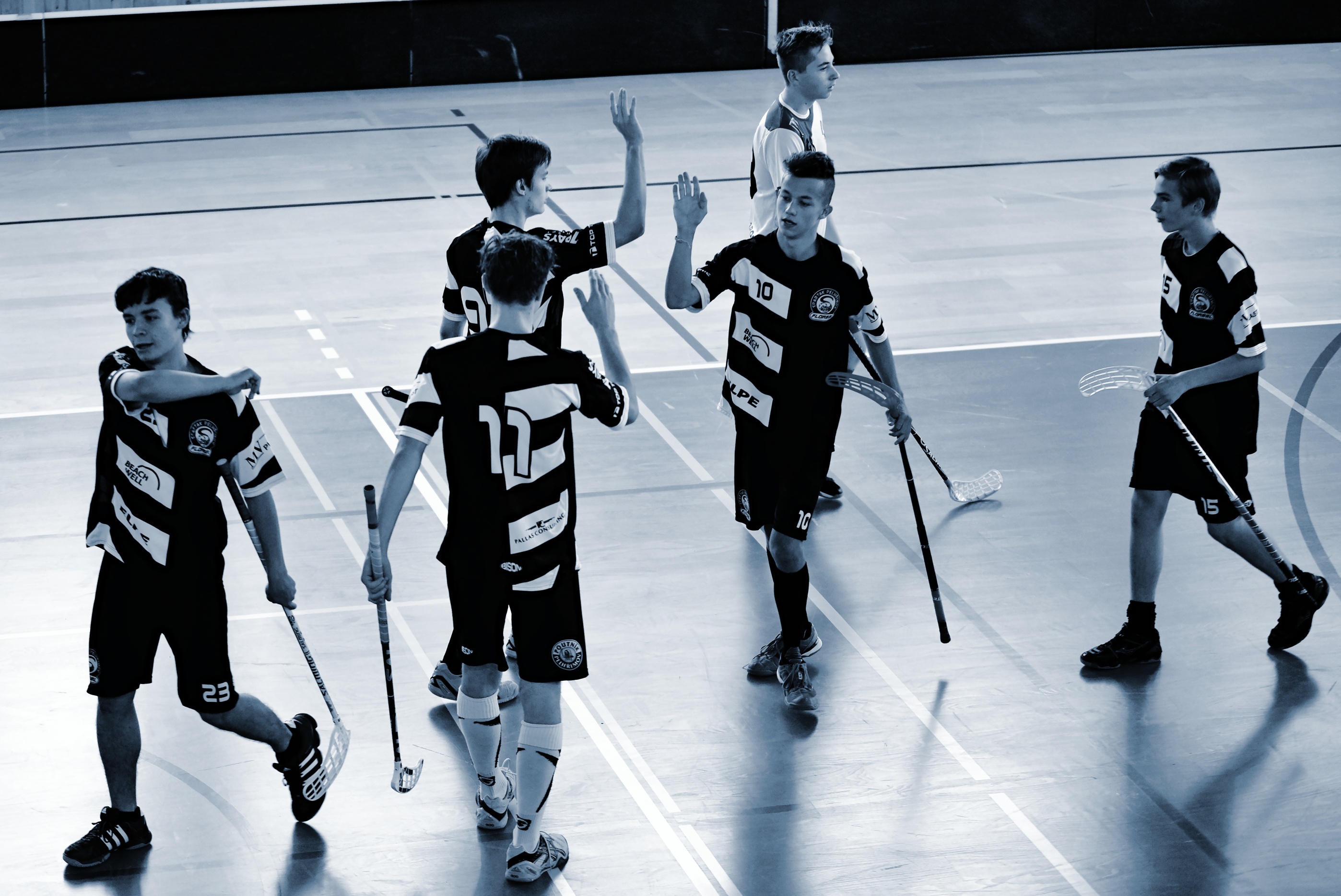 JunciLedec241015 020